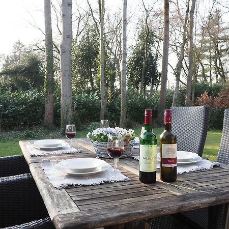 Huinerhofje 3 - Vrijstaand, Grote Tuin, Rust En Veel Privacy Nabij Uitgestrekte Bossen Villa Putten Exteriör bild