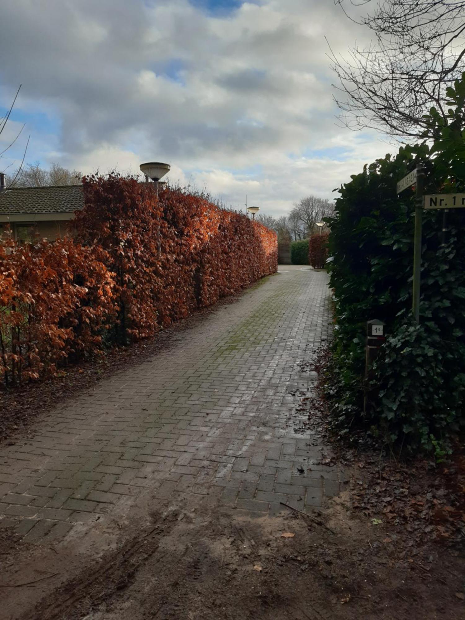 Huinerhofje 3 - Vrijstaand, Grote Tuin, Rust En Veel Privacy Nabij Uitgestrekte Bossen Villa Putten Exteriör bild
